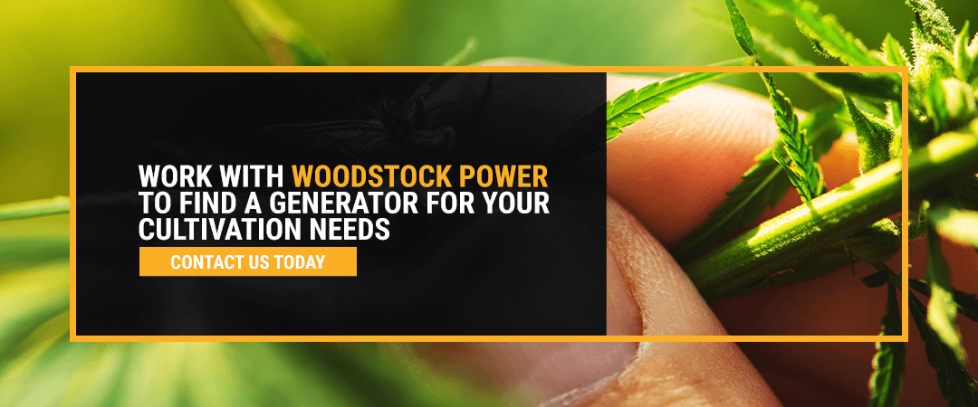 Work With Woodstock Power to Find a Generator for Your Cultivation Needs