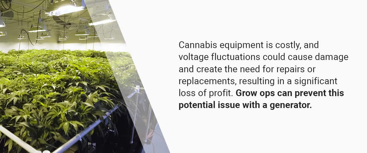 generators minimize need for costly cannabis equipment repairs